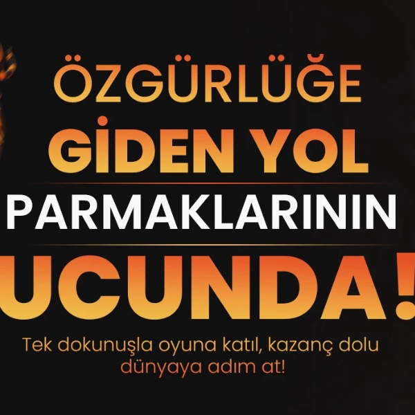 Müebbet giriş güvenli ulaşım